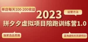 黄岛主拼多多虚拟项目陪跑训练营1.0,单店每天100-200收益,独家选品思路和运营-优优云创网
