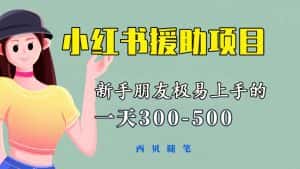 (6026期)一天300-500!新手朋友极易上手的《小红书援助项目》,绝对值得大家一试-优优云创网