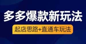 （6028期）2023拼多多爆款·新玩法：起店思路+直通车玩法（3节精华课）-优优云创网