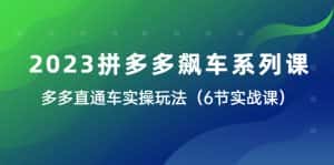 (6030期)2023拼多多飙车系列课,多多直通车实操玩法(6节实战课)-优优云创网
