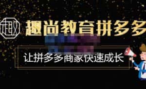 趣尚教育·拼多多运营实操VIP特训营,让拼多多商家快速成长-价值3180元-优优云创网