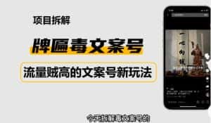 2023抖音快手毒文案新玩法,牌匾文案号,起号快易变现-优优云创网