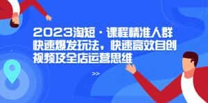 (6045期)2023淘短·课程精准人群快速爆发玩法,快速高效自创视频及全店运营思维-优优云创网