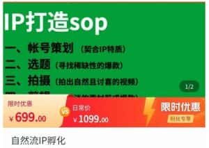 瑶瑶·自然流IP孵化,系统掌握IP孵化全流程,也能学到选题,剪辑,账号运营经验-优优云创网