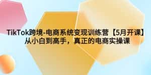 （6058期）TikTok跨境-电商系统变现训练营【5月新课】从小白到高手，真正的电商实操课-优优云创网