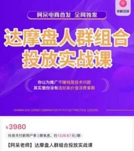 阿呆电商·达摩盘人群组合投放实战课,你以为推广不赚钱是技术问题,其实是你没有选好高价值消费客群-优优云创网