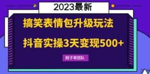 （6069期）搞笑表情包升级玩法，简单操作，抖音实操3天变现500+-优优云创网