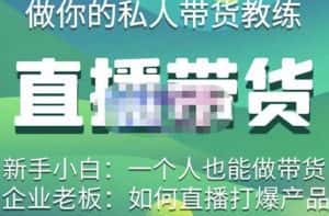 硬核传媒·直播带货(私人教练),实操实战教学,通俗易懂,学完后新手小白一个人也能做带货-优优云创网