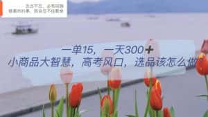 （6077期）一单15，一天300+，小商品大智慧，高考风口，选品该怎么布局-优优云创网