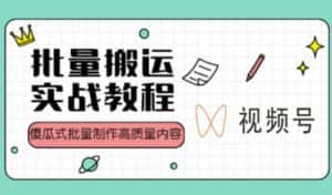 视频号批量搬运实战操作运营赚钱教程,傻瓜式批量制作高质量内容【附视频教程+PPT】-优优云创网