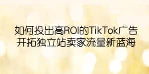 (6102期)如何投出高ROI·TikTok广告,开拓独立站卖家流量新蓝海-优优云创网
