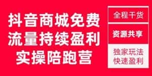 抖音商城搜索持续盈利陪跑成长营,抖音商城搜索从0-1、从1到10的全面解决方案-优优云创网