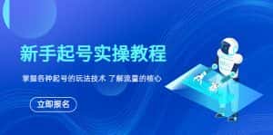 (6110期)新手起号实操教程,掌握各种起号的玩法技术,了解流量的核心-优优云创网