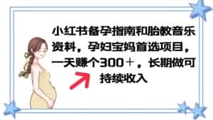 (6114期)小红书备孕指南和胎教音乐资料 孕妇宝妈首选项目 一天赚个300+长期可做-优优云创网