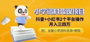 唐老师小学资料变现项目,抖音+小红书2个平台操作,月入数万元(全套资料+教程)-优优云创网
