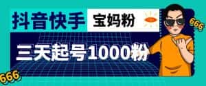 抖音快手三天起号涨粉1000宝妈粉丝的核心方法【详细玩法教程】-优优云创网