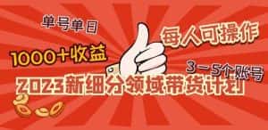 2023新细分领域带货计划:单号单日1000+收益不难,每人可操作3-5个账号-优优云创网