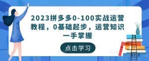 2023拼多多0-100实战运营教程,0基础起步,运营知识一手掌握-优优云创网