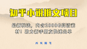 (6148期)最近外面卖980的小说推文变现项目:新玩法更新,更加完善,内含2500G素材-优优云创网
