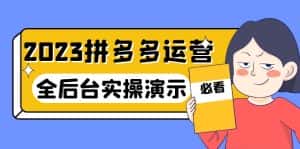 (6152期)2023拼多多·运营:14节干货实战课,拒绝-口嗨,全后台实操演示-优优云创网