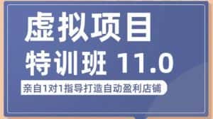 陆明明·虚拟项目特训班(10.0+11.0),0成本获取虚拟素材,0基础打造自动盈利店铺-优优云创网