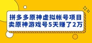 外面卖2980的拼多多原神虚拟帐号项目：卖原神游戏号5天赚了2万-优优云创网
