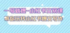 一写就爆-小红书文案课：带你玩转小红收爆文写作（45节课）-优优云创网