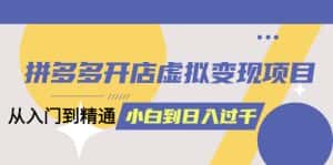(6169期)拼多多开店虚拟变现项目:入门到精通 从小白到日入1000(完整版)6月13更新-优优云创网