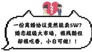 (6176期)一份离婚协议竟然能卖5W?婚恋超级大市场,很残酷但却很吃香,小白可做-优优云创网