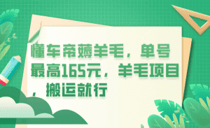 (6175期)懂车帝薅羊毛,单号最高165元,羊毛项目,搬运就行-优优云创网