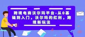 跨境电商沃尔玛平台-从0基础到入门,沃尔玛的红利,跨境新玩法-优优云创网