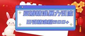 豆瓣精准暴力引流,日引精准粉500+【12课时】-优优云创网