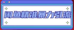 闲鱼精准暴力引流全系列课程，每天被动精准引流100+粉丝-优优云创网