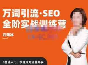许茹冰·万词引流-SEO全阶实战训练营,0基础入门,快速成为流量高手-优优云创网