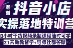 抖音小店实操落地特训营：抖音小店无货源精细化运营，抖店商品卡流量（22节）-优优云创网