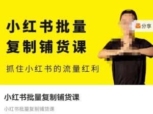 张宾·小红书批量复制铺货课,抓住小红书的流量红利 (更新2023年2月)-优优云创网