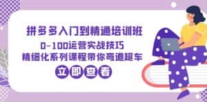 （6243期）2023拼多多入门到精通培训班：0-100运营实战技巧 精细化系列课带你弯道超车-优优云创网