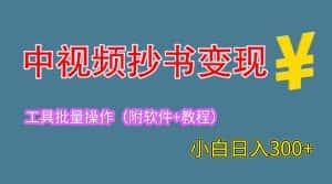 (6246期)2023中视频抄书变现(附工具+教程),一天300+,特别适合新手操作的副业-优优云创网
