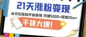 21天精准涨粉变现干货大课：从10位粉丝开始变现月增5000+变现20w+-优优云创网