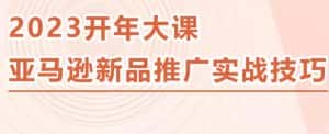2023亚马逊新品推广实战技巧，线下百万美金课程的精简版，简单粗暴可复制，实操性强的推广手段-优优云创网
