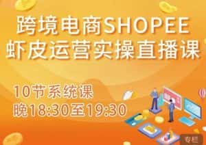跨境电商Shopee虾皮运营实操直播课,从零开始学,入门到精通(10节系统课)-优优云创网