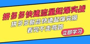 （6253期）拼多多-快速流量起爆实战，拼多多新品快速起爆实操，看完不走弯路-优优云创网