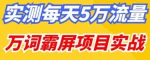 百度万词霸屏实操项目引流课,30天霸屏10万关键词-优优云创网
