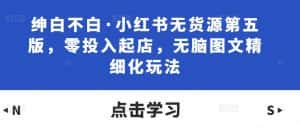 绅白不白·小红书无货源第五版,零投入起店,无脑图文精细化玩法-优优云创网