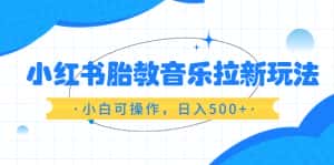 (6256期)小红书胎教音乐拉新玩法,小白可操作,日入500+(资料已打包)-优优云创网