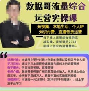 数据哥流量综合运营实操课：短视频、本地生活、个人IP知识付费、直播带货运营-优优云创网