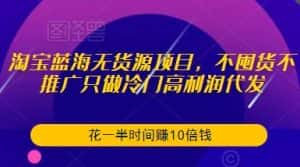 淘宝蓝海无货源项目,不囤货不推广只做冷门高利润代发,花一半时间赚10倍钱-优优云创网