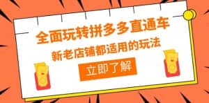 (6294期)全面玩转拼多多直通车,新老店铺都适用的玩法(12节精华课)-优优云创网