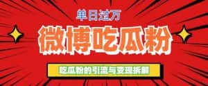 （6296期）微博吃瓜粉引流玩法，轻松日引100粉变现500+-优优云创网