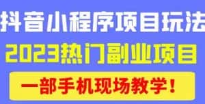 抖音小程序9.0新技巧,2023热门副业项目,动动手指轻松变现-优优云创网
